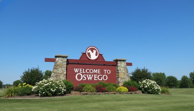 Best Tub To Shower Conversion pros in Oswego, IL