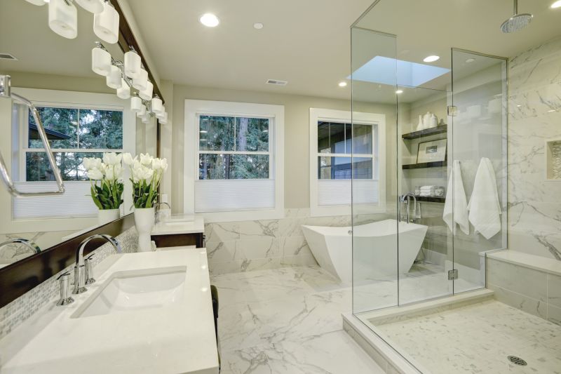Top Shower Remodeling Companies in Glen Ellyn, IL