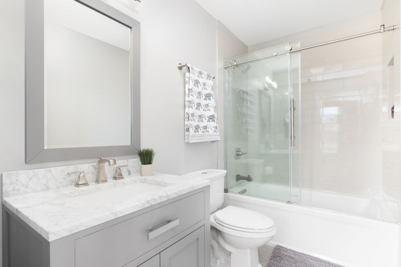 Top Tub To Shower Conversion Companies in Joliet, IL